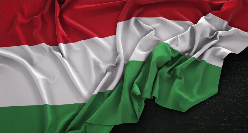 What’s the issue with Hungarian government’s policies?